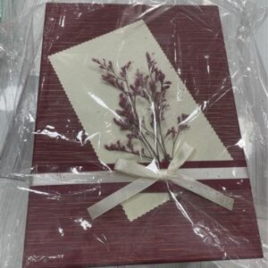 Hộp tq b3 chữ nhật lớn